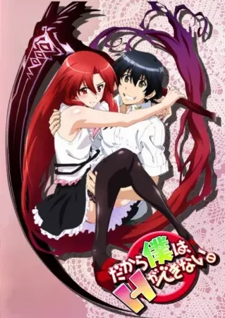 Dakara Boku wa, H ga Dekinai